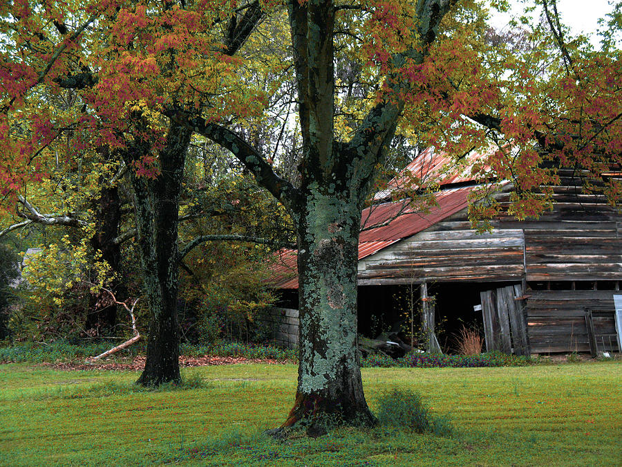 South Carolina Barn