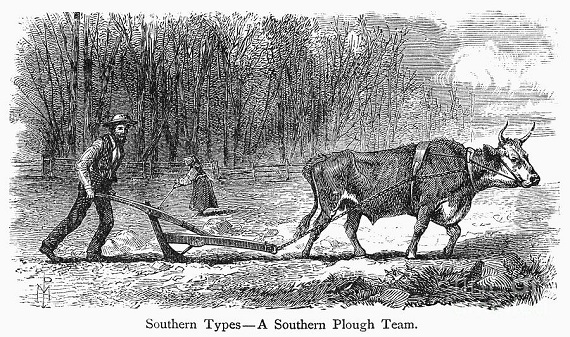 southern farmer
