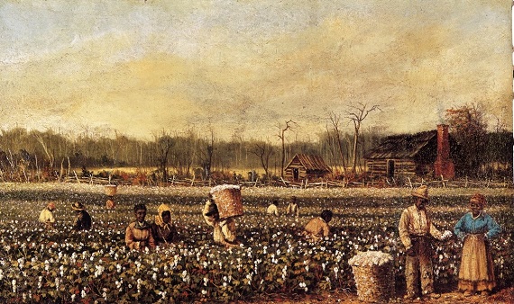walker cotton picking