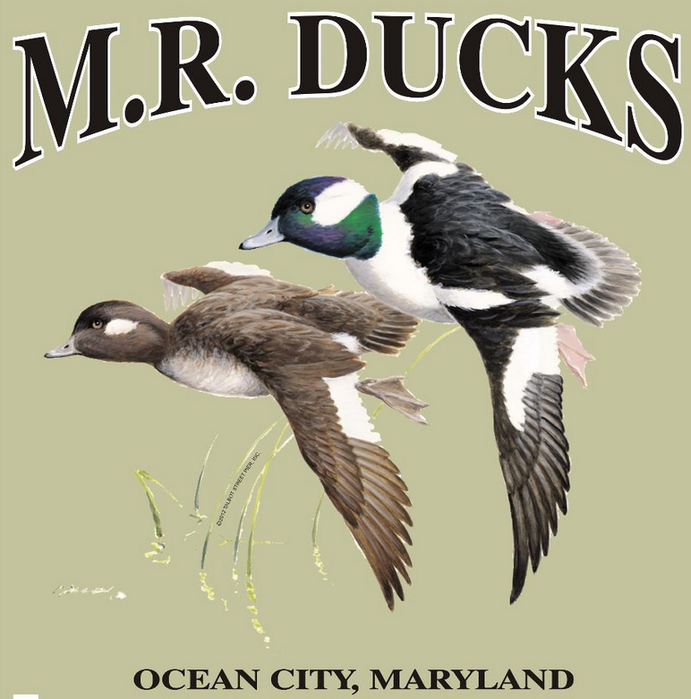 MR Ducks